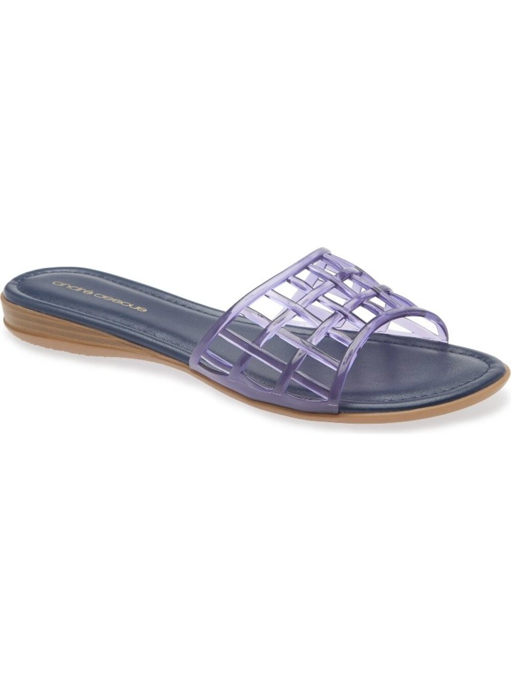 André Assous $79 Nabil Jelly Slide Sandal Navy Sz 11 NIB!